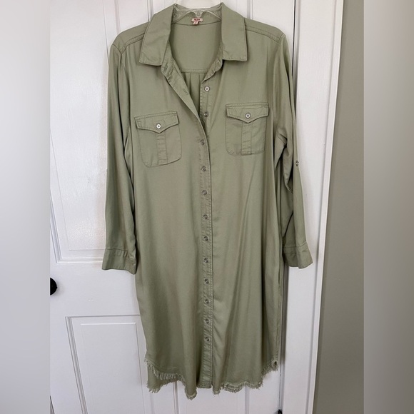 Reba Sage Tencel Point Collar Long Sleeve Frayed Hem Shirt Dress MIDI Large - Picture 1 of 16